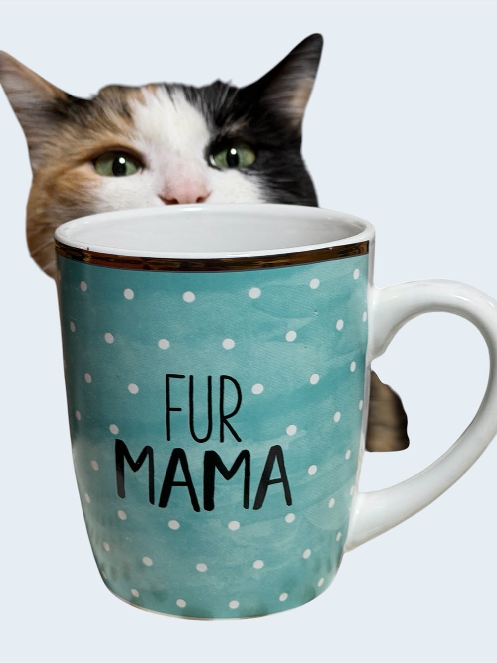 Fur Mama Polka Dot Ceramic 15 oz Mug LIKE NEW!